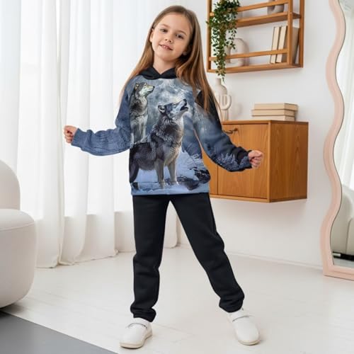 DISNIMO Hoodie and Sweat Pants for Boys Sweatshirt for Kids Clothing Sets Sweatsuits Set Girls Tracksuit Jogger Pants3