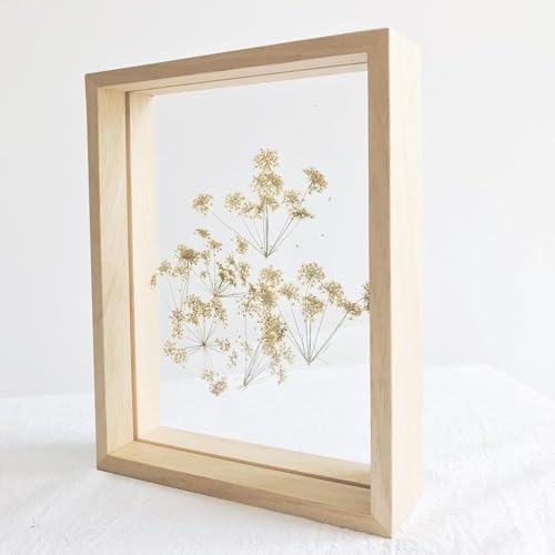 Image of Abhikalpya Art studio A4 Floating Wooden Frame 8x12 inch Empty for any plant leaf decoration, picture, DIY Gift item 30.48 X 20.32 Centimeters (Wooden) (Table top)
