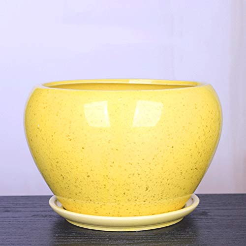 Pot pour cactus et succulente en céramique avec trous de drainage maison