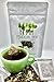 Itadori Tea - Organic Black Tea With Japanese Knotweed For Resveratrol & Immune Support, Antioxidant-Rich, All-Natural Ingredients, 14 Tea Bags for Holistic Wellness