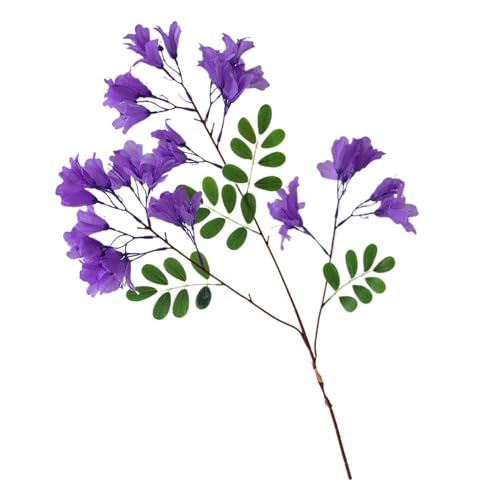 X psblty 2 Stems/Bouquet Spring Latest Artificial Jacaranda Flowers - 24.4in Elegant & Mysterious Fake Jacaranda, Purple Lilac-Style Blooms for Garden, Home Floral Arrangements(Deep Purple)