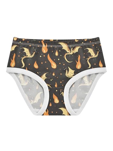 ZZKKO Yellow Fire Dragon Girls Underwear Toddler Panties for Girls Comfort Brief Size 2-8T