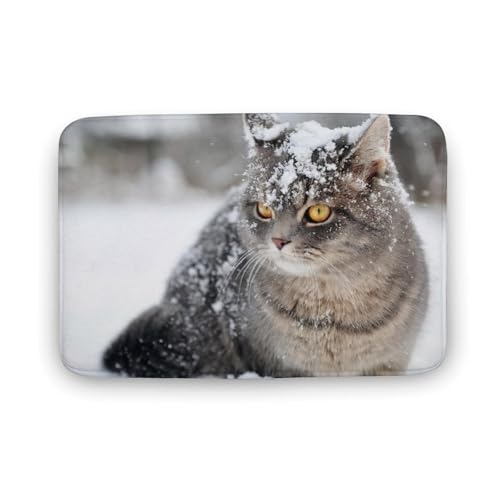 L   oX}bg z/唻 փ}bg  O   傫 ~ Aj LN^[ @}bg   ʏ