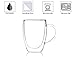 Bistro Mug with Handle from JavaFly, Double Walled Thermo Glass Cup, Set of 2-12oz