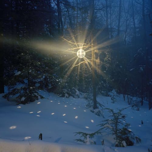 Adam Ekberg: On The Other Side of Boredom