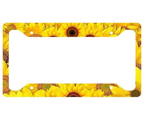 10 Best Sunflower License Plate Frames of 2023 Reviewed and Ranked