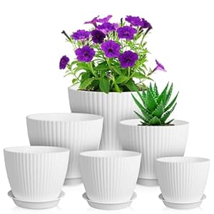 7/6.2/5.5/5/4.5/4 inch Plant Pots, 6 Pack Flower Pots for Small Indoor Outdoor Plants, Plastic Planters with Drainage Holes and Saucers for Garden Succulent House Plants, White