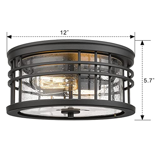 Image of zeyu 2-Light Flush Mount Ceiling Light for Hallway, 12 Inch, ZW01-F BK