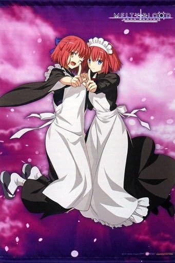 MELTY BLOOD： TYPE LUMINA 限定タペストリー Amazon.co.jp: MELTY BLOOD:TYPE LUMINA ゲーマーズ
