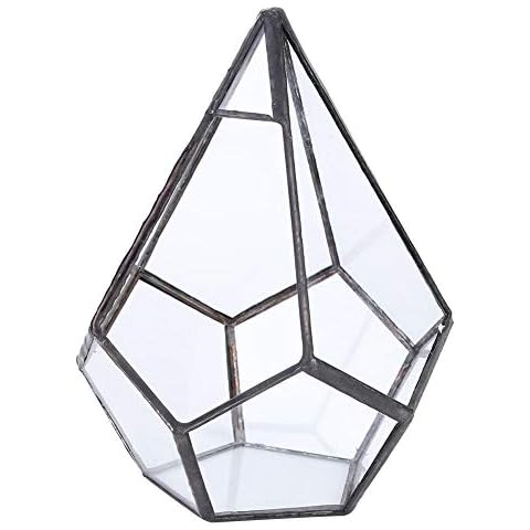 Maceta geométrica de vidrio terrario para plantas Cover