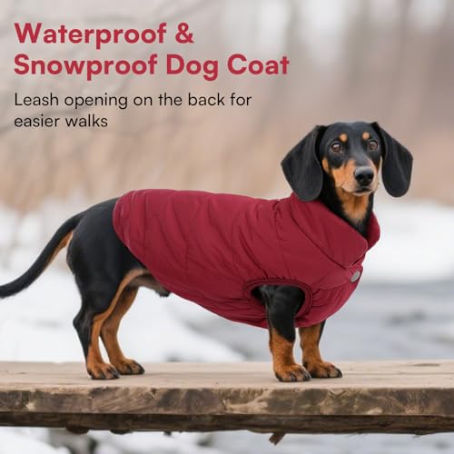 ASENKU Hundemantel für Kleine Hunde,Winddichte Hundejacke Winter wasserdichte Hundemantel mit Geschirr Fleece Warme Wintermantel Hund Kleidung für Chihuahua Dackel Französische Bulldogge XS