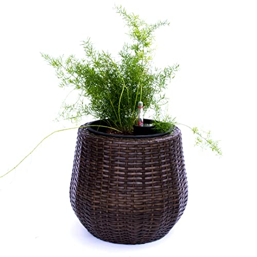 Elegant Einrichten Pflanzkübel Polyrattan D35xH32cm Mocca