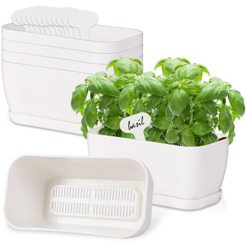 Oliz 6 Set Window Herb Planter Box Rectangular, White Plastic Planters with Multiple Drainage Holes and Trays,Indoor Succulent Cactus Mint Flower Pot for Windowsill, Garden Balcony