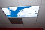 Cumulus I Skypanels; Fluorescent Light Diffuser
