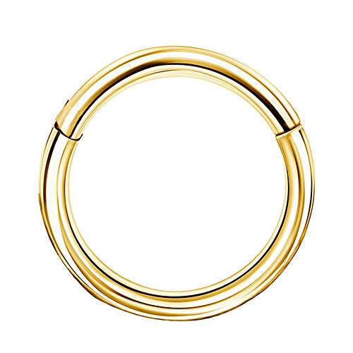 COCHARM 16G 14K Solid Gold Hinged Clicker Segment Ring Lip Nose Hoop Helix Daith Tragus Septum Cartilage Earring 8mm