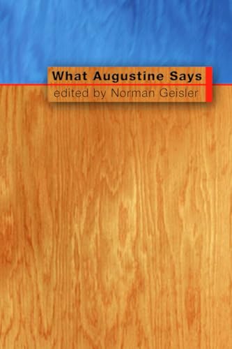 What Augustine Says view 2