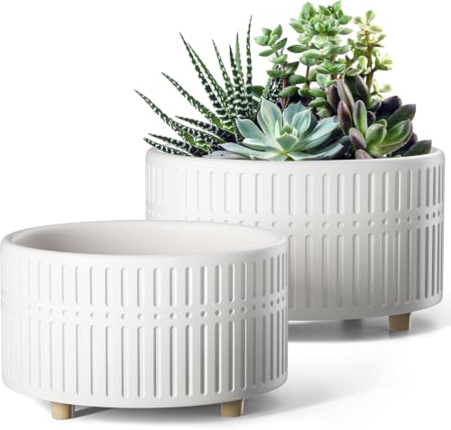 LE TAUCI Succulent Pots, 6.5+8 Inch Ceramic Indoor...