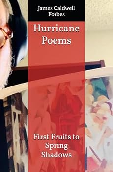 Paperback Hurricane Poems: First Fruits to Spring Shadows Book
