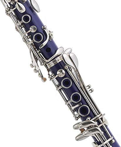 LAGRIMA B Flat Beginner Student Clarinet with 2 Barrels, Case, Stand,10 Reeds, Mouthpiece (Purple)