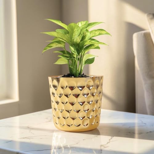 Image of Modern Decorative Gold Planter with Textured Hexagon Pattern Indoor Plant Pot Tabletop Plant Pot for Living Room for Home Decor (5 inch, Gold)