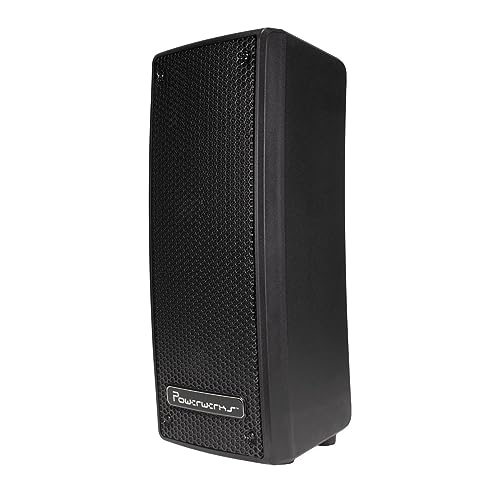 Portable Wireless PA Speaker System
