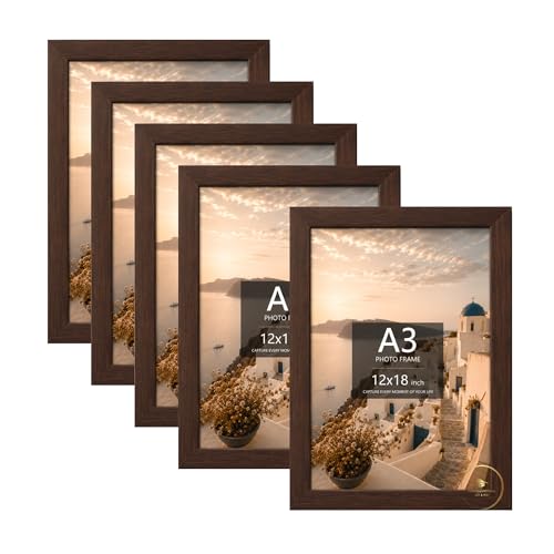 Image of AbhiKalpya Art Studio 12 inchx18 inch Inch Photo Frame A3 Size Photo Frame For Wall Artwork /Painting (Brown) (Set of 5)
