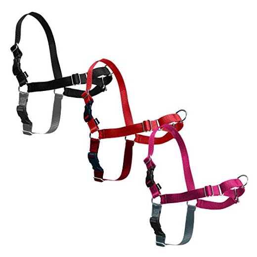 PetSafe Correa Easy Walk