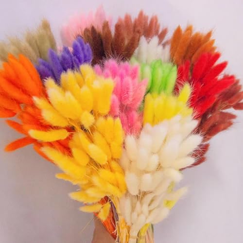 Decoración con Pasto Pampas Seco 50 Piezas 45 cm miniatura 4