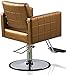 Salon Style Gold Hair Salon Styling Barbering Chair Prime Salon Equipment