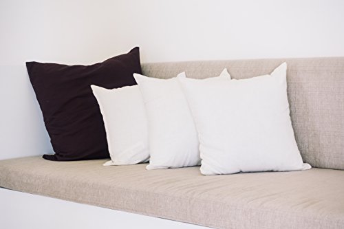 Continental Bedding 26X26 White Goose Down And Feather Fill 50/50 Decorative Throw Pillow Insert - Square Designer Pillows - Fluffy Euro Pillow Cushion Insert For Bed And Couch- Made In Usa #TOP5