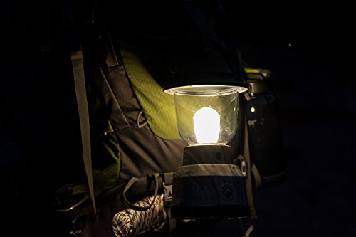 Ecosurvivor Portable Led Lantern, Green Camouflage Finish, Bright White 500 Lumens, Durable Outdoor, Dust/Water Resistant, Hiking, Camping, Storm, Emergency, Carabiner Handle, 6 D Batteries, 11225 #TOP4