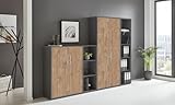 Aktenschrank in Anthrazit Gold Harbor Oak Office Edition abschließbar als...