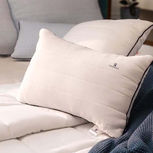 SleepStore Granules Soft Cushion for Back & Spine Support, Pack of 1, 12x18 Inch | Multipurpose Adjustable Cushion for Office, Home & Travel | Shredluxe™ Fill - Blend of Memory Foam & Premium Fiber