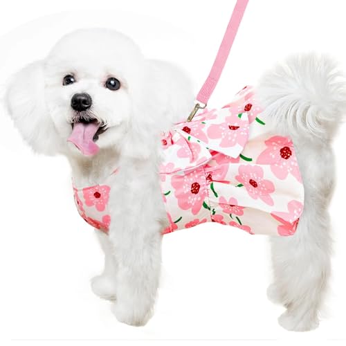 Vestido para Perros,Vestido de Perro para Mascotas,Vestido de arnés para Perro con Correa,Vestidos para Mascotas para Perros pequeños, Vestido de Princesa con Lazo para Perros pequeños Medianos (XL)