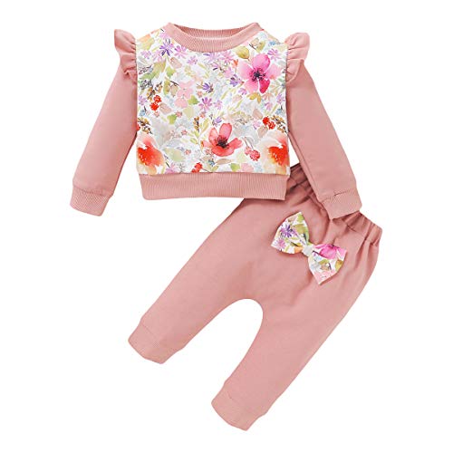 Baby Girls Clothes,2 Piece Outfits Infant Kids Toddler Long Sleeve Sweatshirt Pullover Blouse Casual Top Ruffle Printed T-Shirt Floral Pants Sets(Pink,3-6 Months)