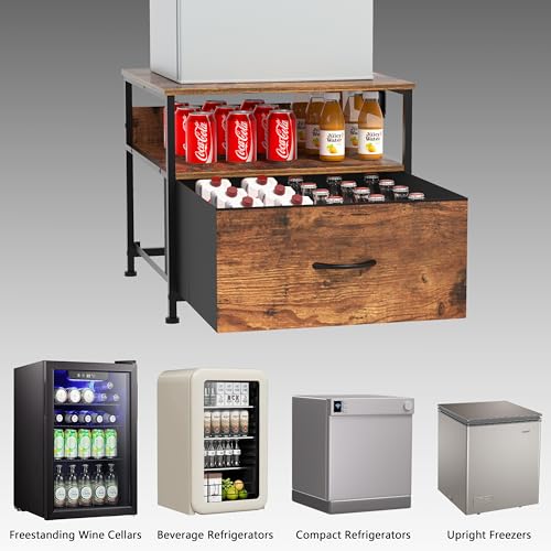 Portable Mini Fridge with Freezer