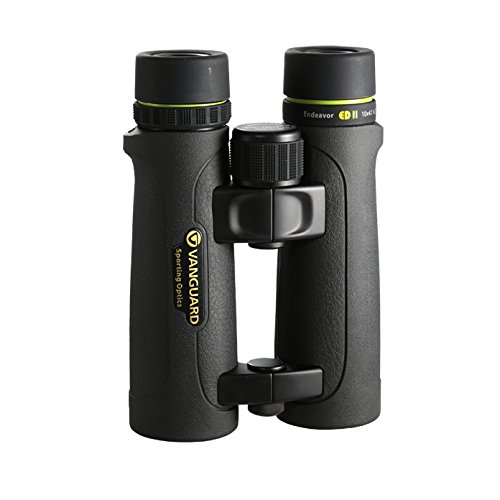 Amazon | (Endeavor ED II 10x42) - Vanguard Endeavour ED II 10x42