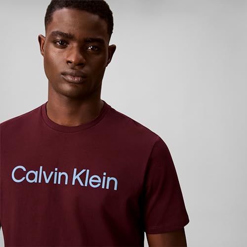 Image of Calvin Klein Men's Relaxed Fit CK Logo Crewneck T-Shirt