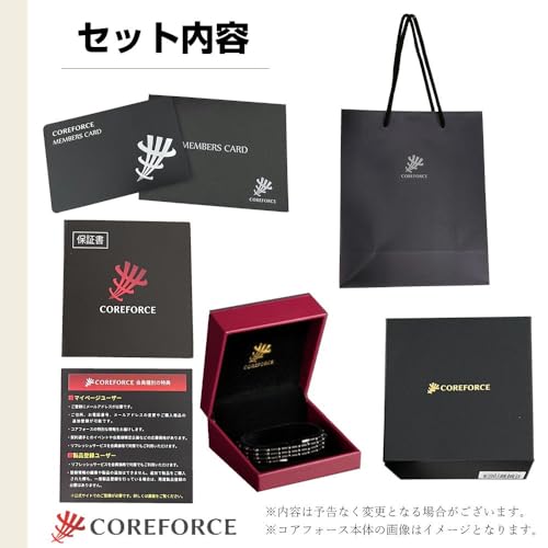 [COREFORCE] コアフォースループ プラチナ ブレスレット 公式ハンディバッグ付き 6枚目