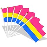 AhfuLife 15 Stück Klein Pansexual Pride Flag, mit 30cm weißem Pole
