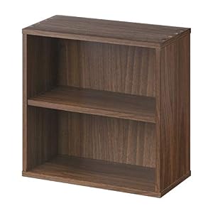 ぼん家具 本棚 スリム 飾り棚 木製 薄型 CDラック 幅34.6×奥行16.5×高さ34.4 棚付きタイプ ウォールナット