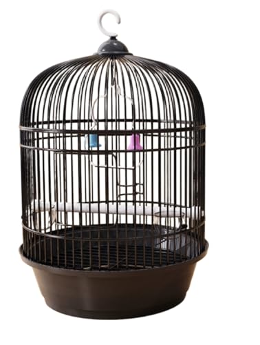 ConutooEhZLZCCR ϋv   Ƃ肩  _F o[hpi o[hXeX CeA  ^    P[W Zbg IJCR L[ (ubN)