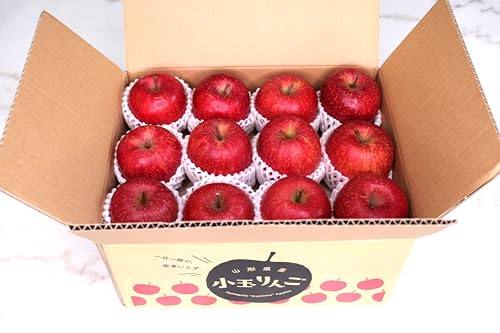 りんご 【ひかりグループ】 小玉リンゴ 毎日ちびリンゴ ミニサイズ 1ヵ月分チェックシート付 サンふじ 10kg 48個(24個×2箱) 山形県 家庭用 《12/上旬〜12/中旬より出荷》