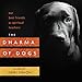 Produktbild The Dharma of Dogs: Our Best Friends as Spiritual Teachers