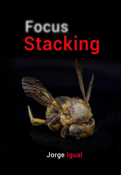 Focus Stacking: Profundidad de campo extendida (Técnicas fotográficas)