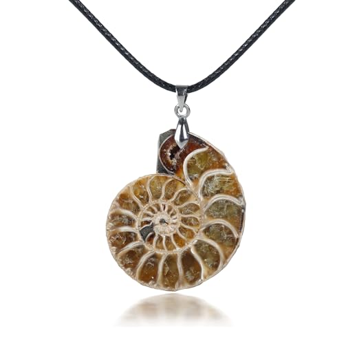 Image of MAIGO Ammonite Spiral Stone Pendant with Adjustable Cord, Natural Conch Necklace, Snail Slice Pendant, Women's Fossil Jewellery Gift