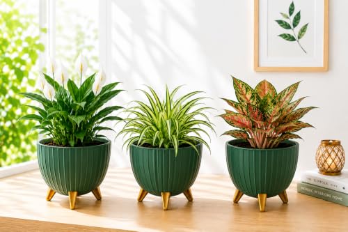 Image of (7 Inch) Plastic Gamala for Indoor Outdoor Plants with Stand, planters for Home Decor, Flower Pot with Legs, Flower Pot for Living Room, Garden, Pot for Office Table & Home (Green, 3)