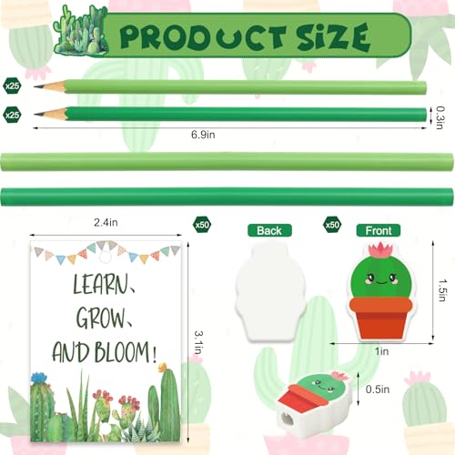 Set de 50 lápices verdes con borradores y tarjetas miniatura 2