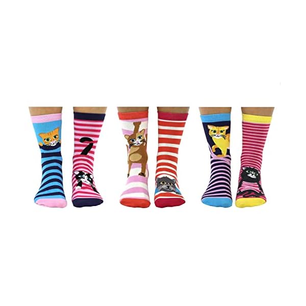 Feline Good Katzen Oddsocks Socken in 37-42 im 6er Set - Strumpf – Bild 3