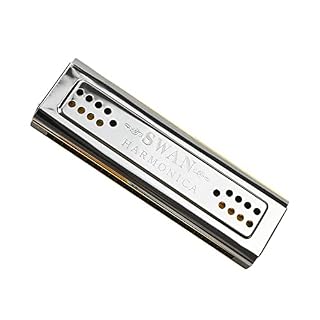 SHUIYUE Harmonica des Deux côtés 24 Trous C et G Double Harmonie Instruments à Vent pour Orgue à Bouche Harmonica,Orgue… - Les Beatles, Paul McCartney, John Lennon, RIngo Starr, George Harrison